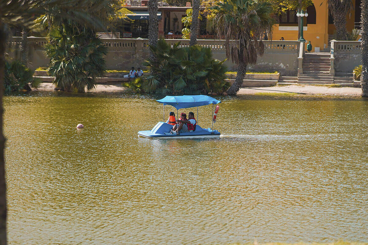 Visita imperdible a Paracas, Huacachina y atardecer en el oasis